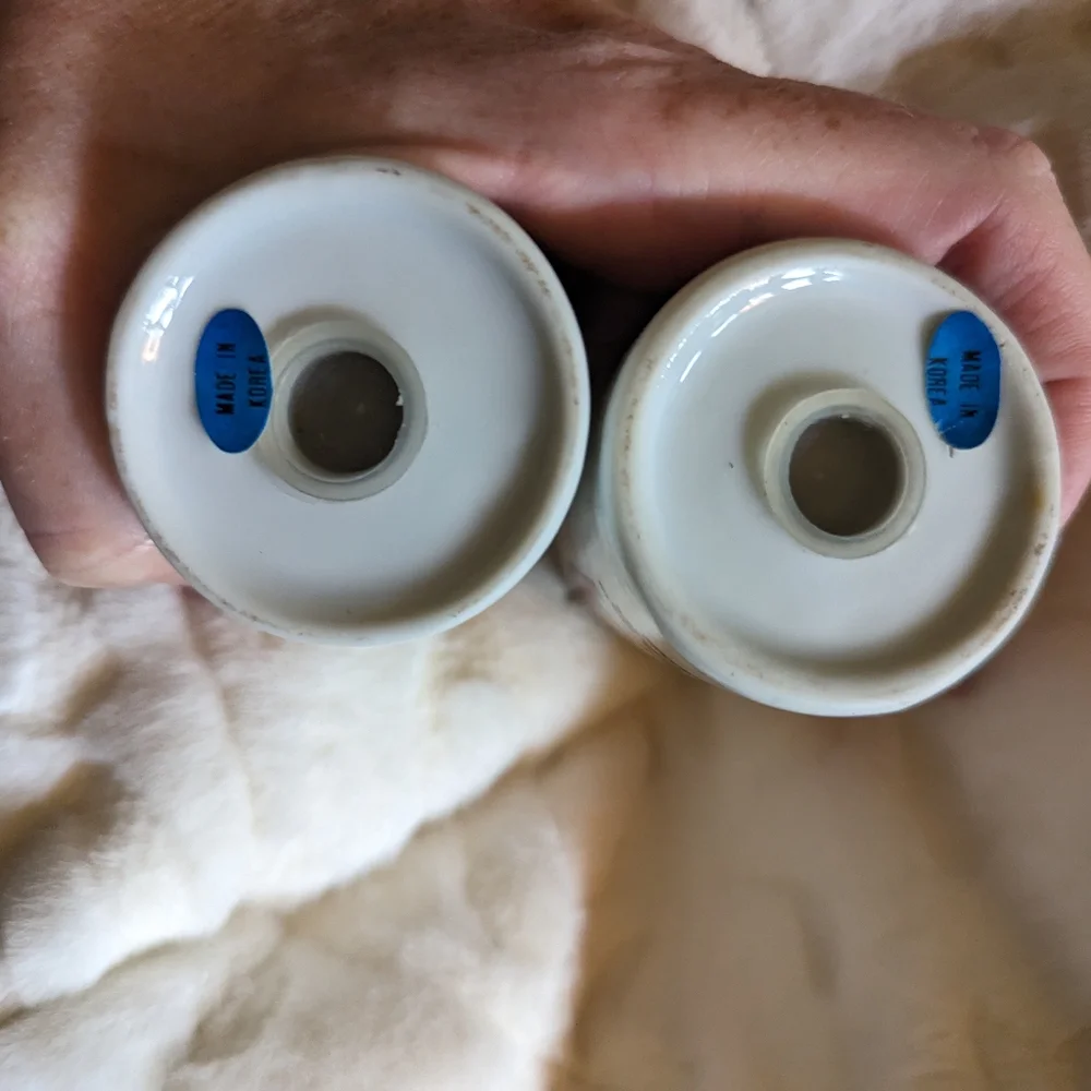 1982 vintage worlds fair salt and pepper